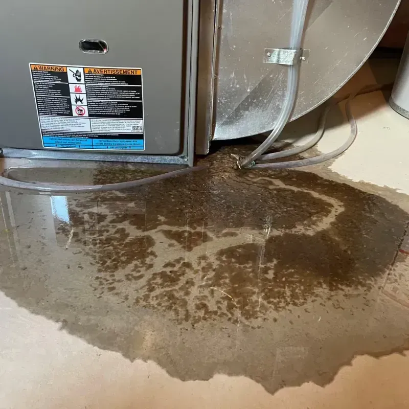 Appliance Leak Cleanup in Sparta, NJ